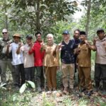 Pemprov Lampung Jajaki Kerja Sama Carbon Trading dengan Global Amazon