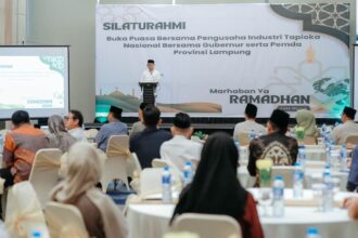 Singkong Lampung Jadi Kekuatan Ekonomi Daerah, Mirza Ajak Industri Jaga Ekosistem