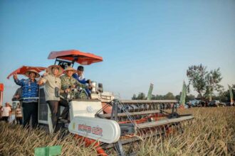 Dukung Ketahanan Pangan Nasional, Lampung Ambil Bagian dalam Panen Raya TNI Serentak